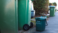 Surrey council wheelie bins and a food waste bin stand out on a residential street