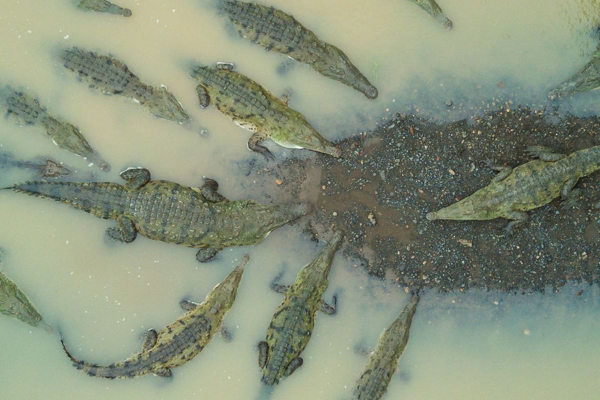 People's choice, Nature: Niklas Weber / National Geographic Travel Photographer of the Year Contest