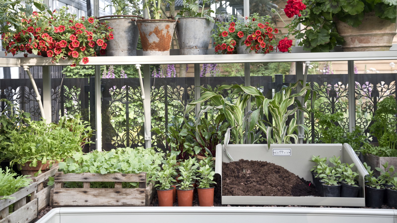 A potting bench in a greenhouse with seedlings and plants in containers