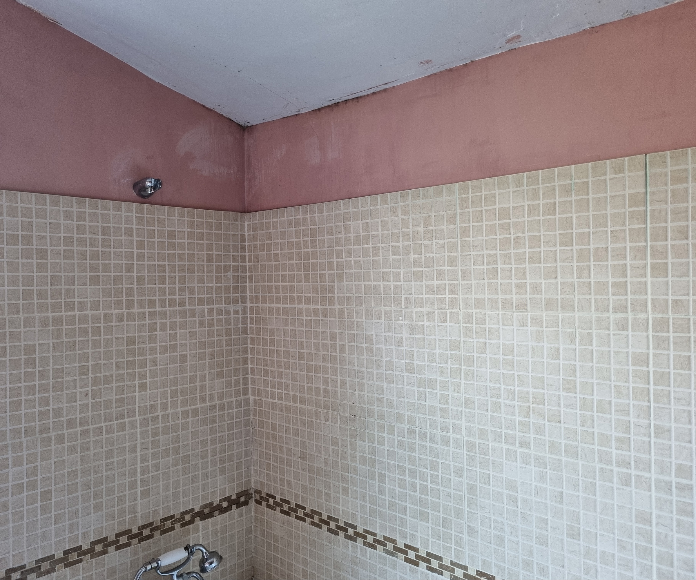 black mould on a pink bathroom wall in the ceiling and beige tiles