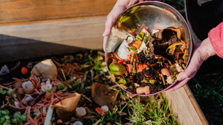 food scraps going into a compost