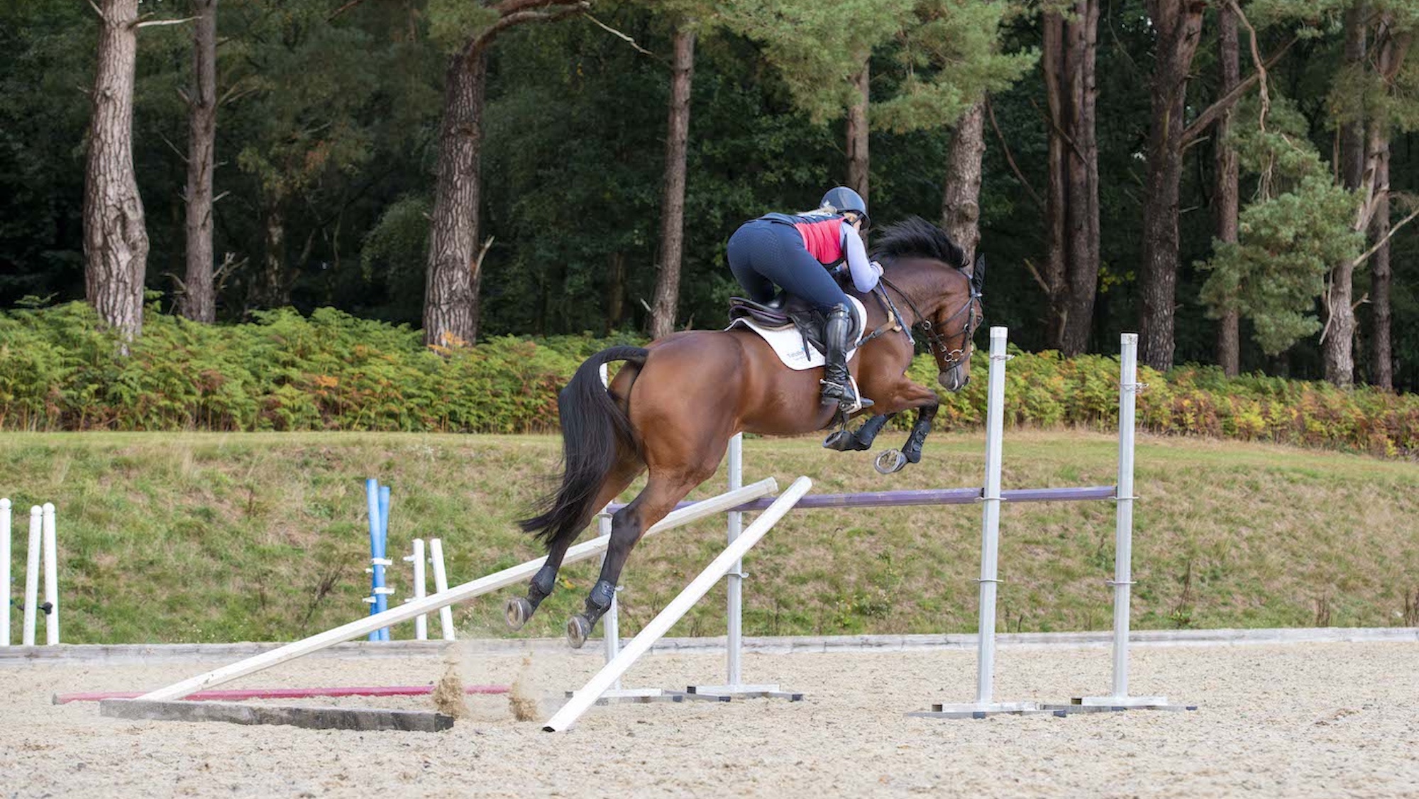 Showjumping training for how to stop a horse knocking down jumps