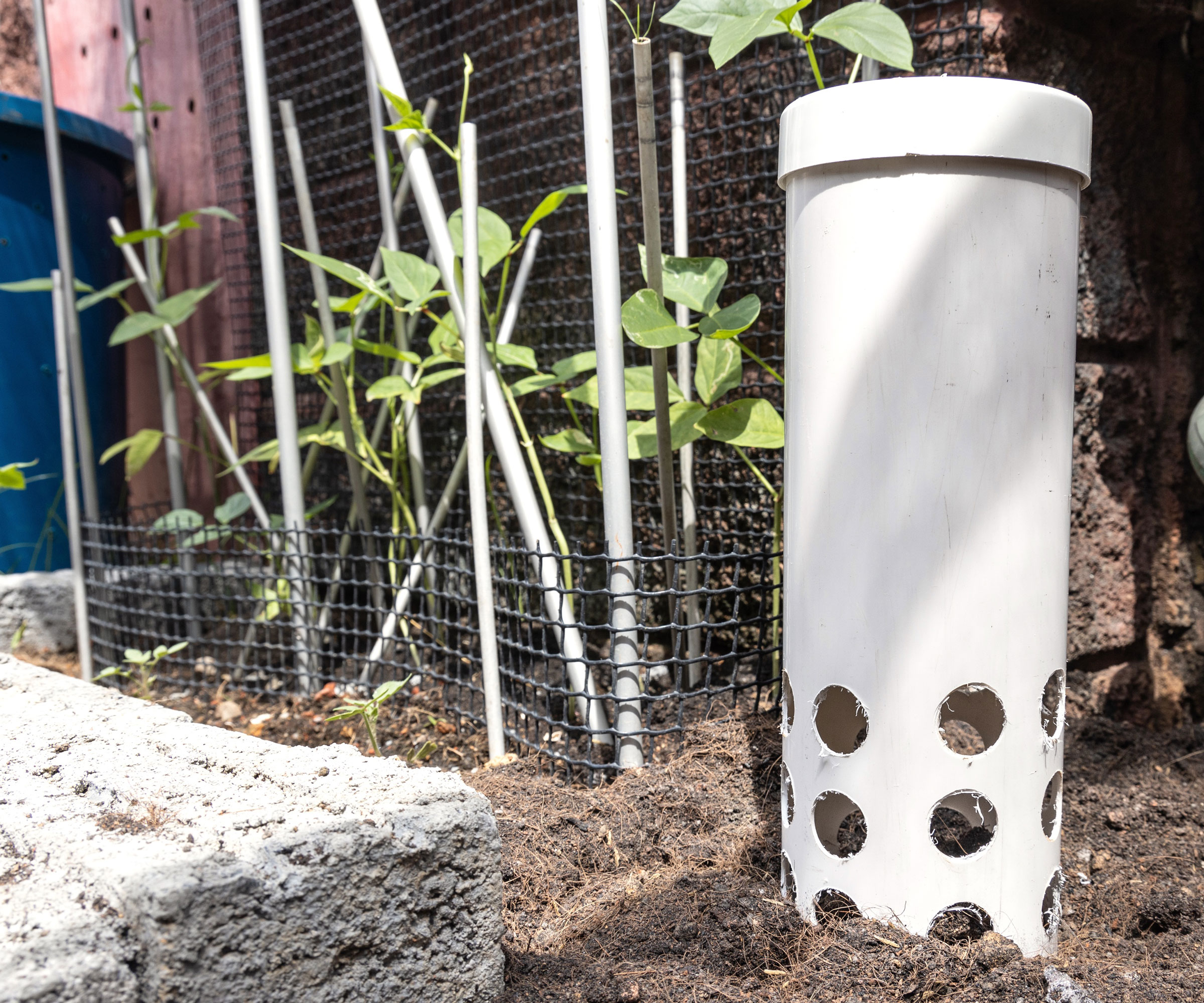 finished white DIY worm composting tower in ground in backyard