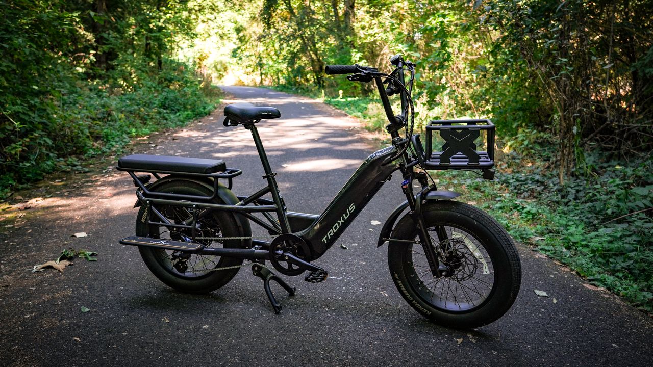 Troxus Lynx Cargo E-Bike