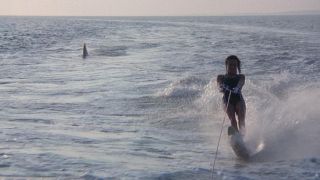 Still from the movie Jaws 2. Here we see a woman water-skiing and a shark fin behind her.