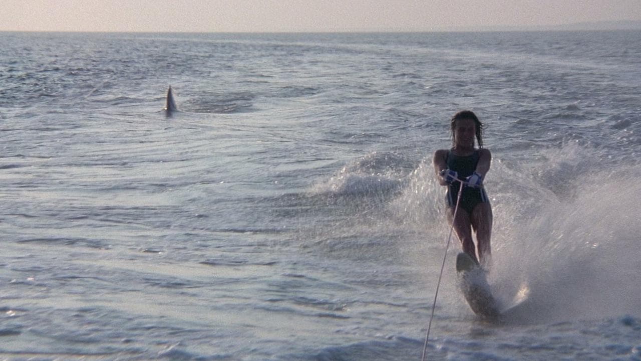 Standbild aus dem Film Jaws 2. Hier sehen wir eine Wasserski fahrende Frau und hinter ihr eine Haifischflosse.