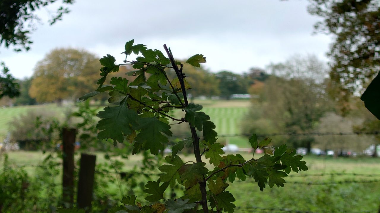 Sony Xperia 1 III camera test
