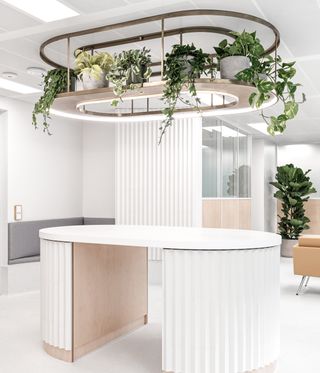 white reception desk with plants on it