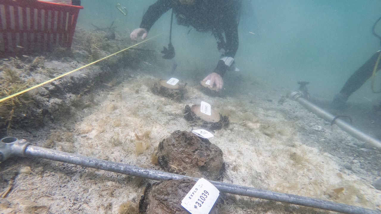 Divers excavate underwater site at possible oldest village in the world.