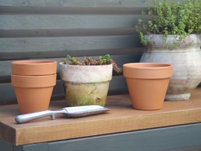 terracotta planters on a work bench