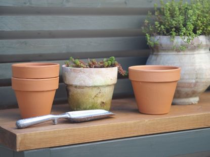 This Genius Trick Makes New Terracotta Pots Look A Million Times Better   Zg6qMTNv4eCUYCiktUaN36 415 80 