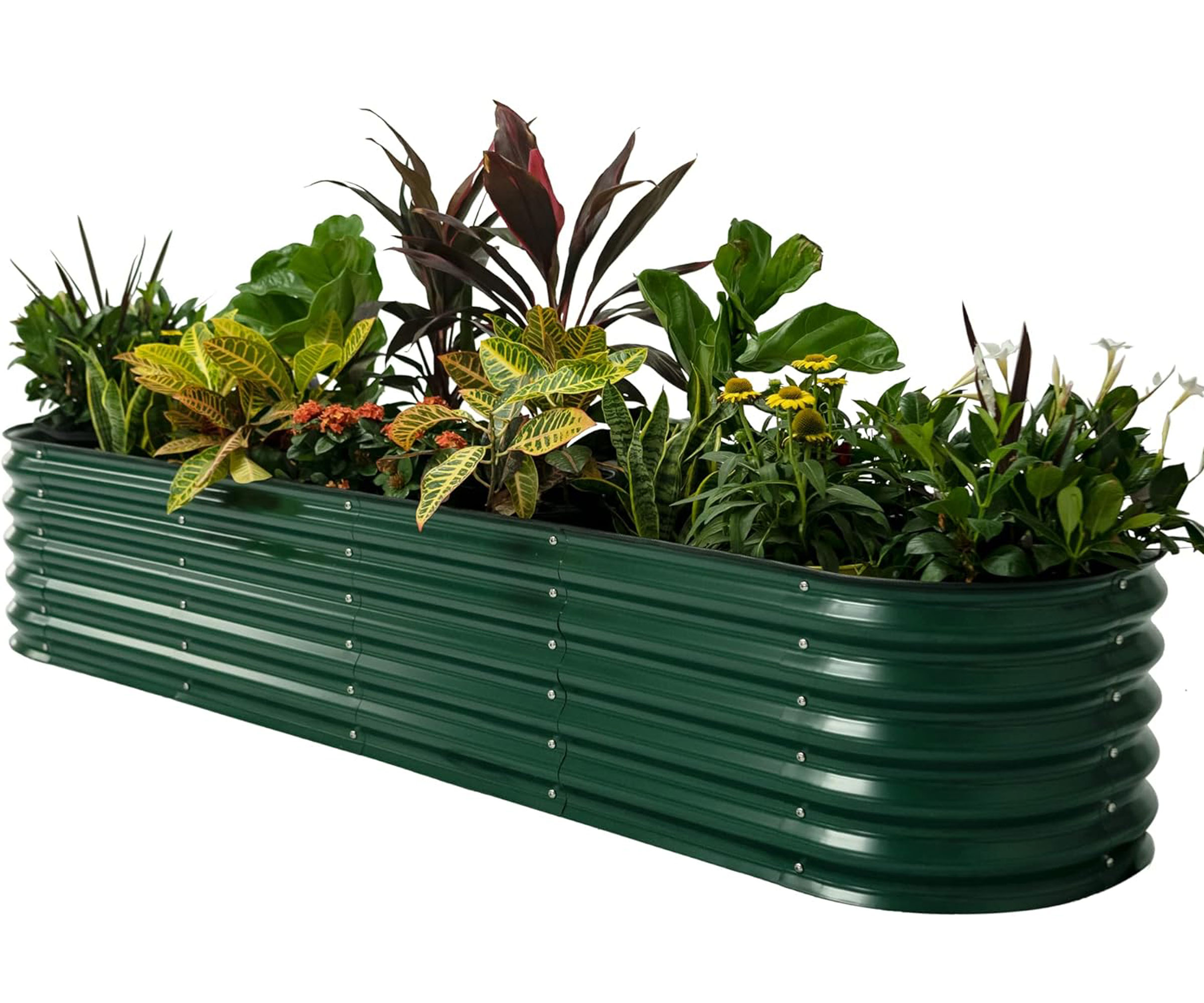 Vego metal raised bed in dark green
