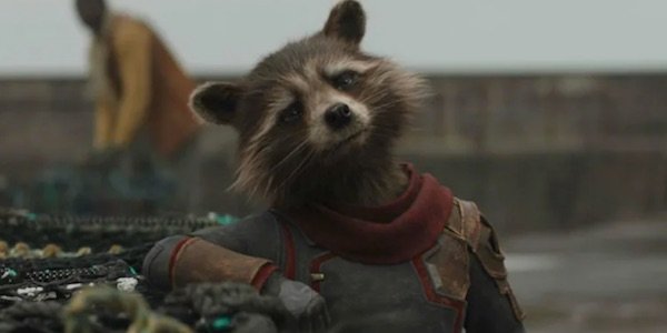 Rocket in Endgame