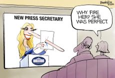 Political Cartoon