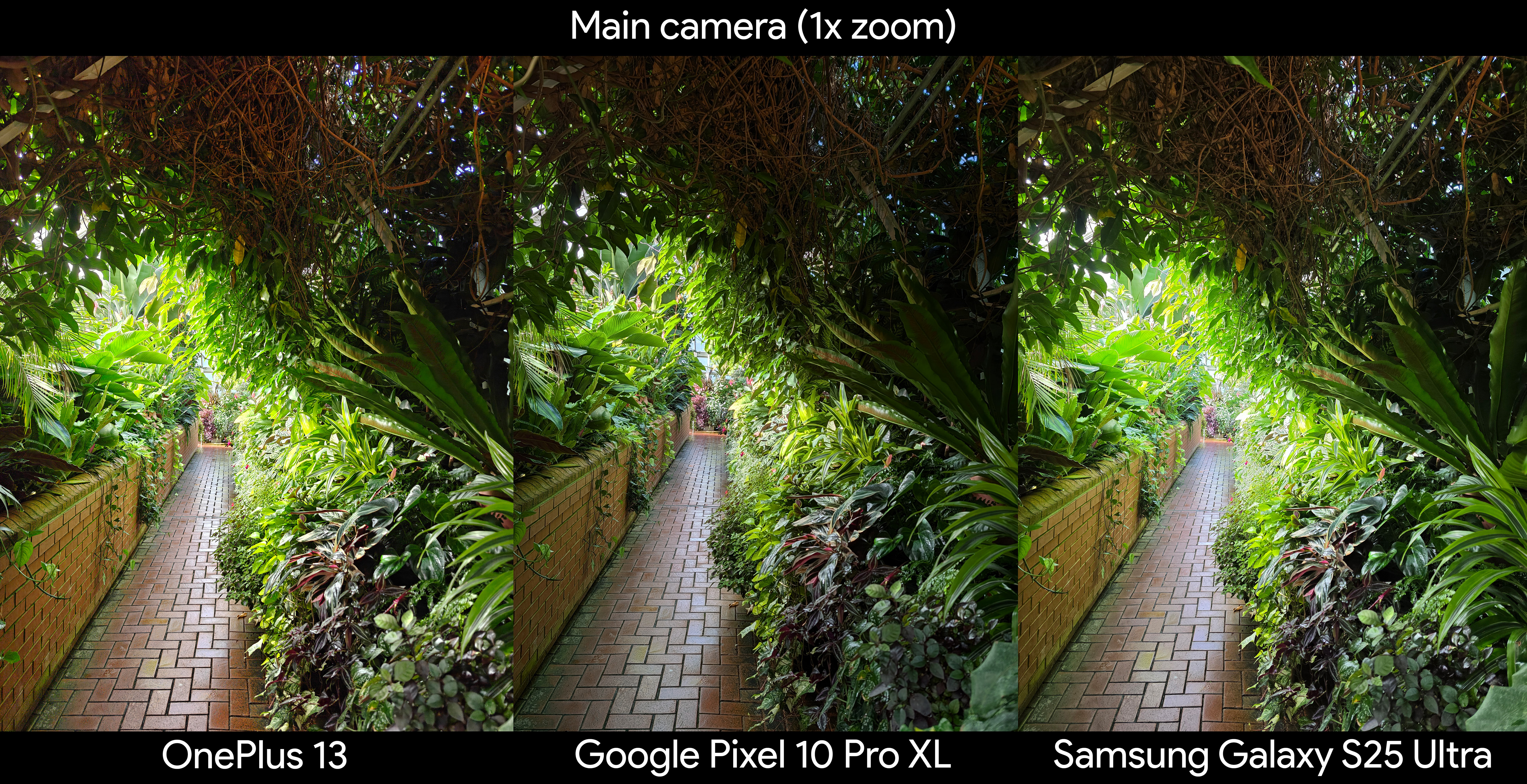 Comparing photos of a starkly lit greenhouse between the Google Pixel 10 Pro XL, Samsung Galaxy S25 Ultra, and OnePlus 13