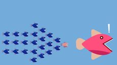 little fish chasing big fish