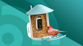 Lead image for best bird feeder camera, featuring the Netvue Birdfy Feeder AI