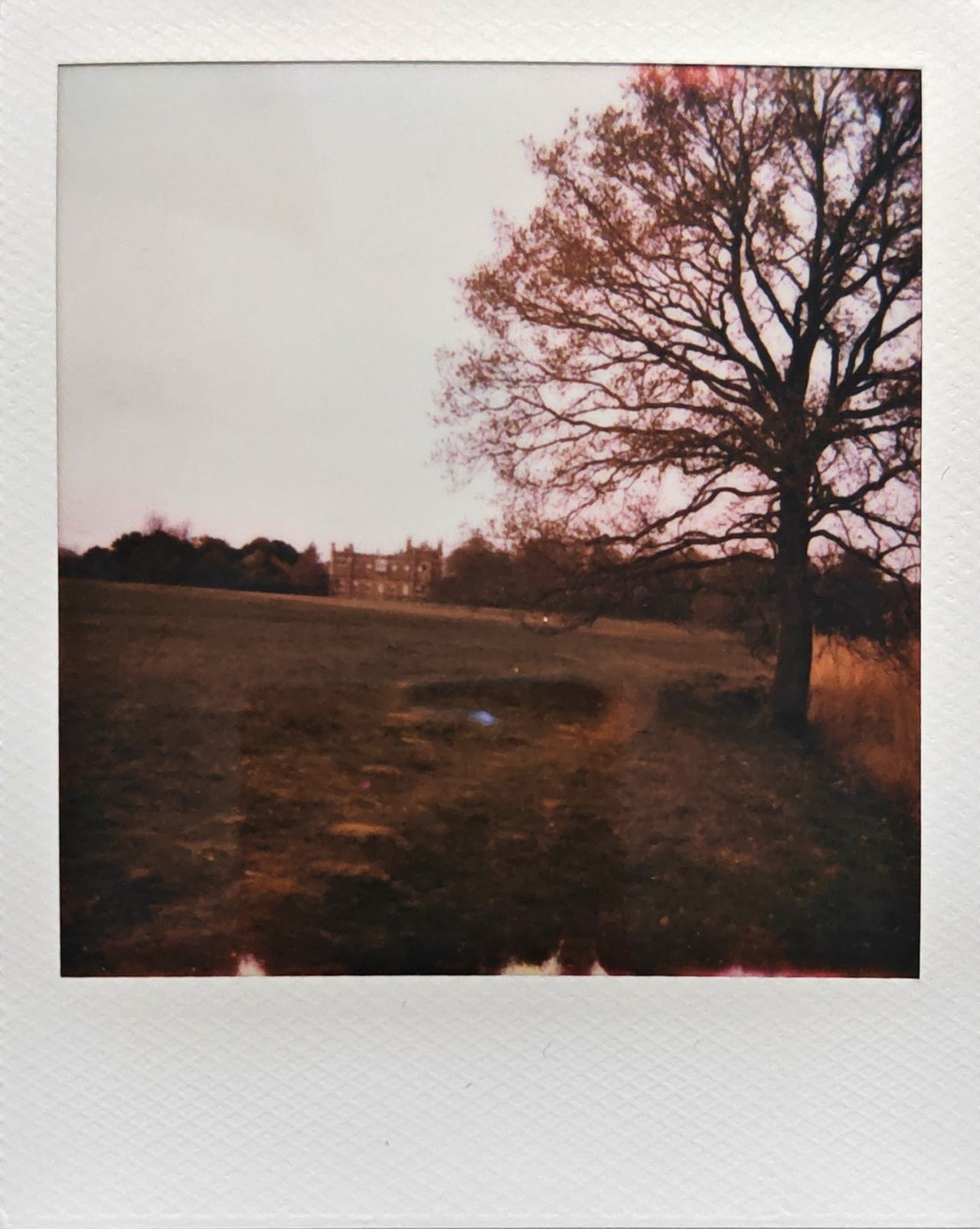 A selection of images captured on the Polaroid Flip instant camera by T3's Sam Cross