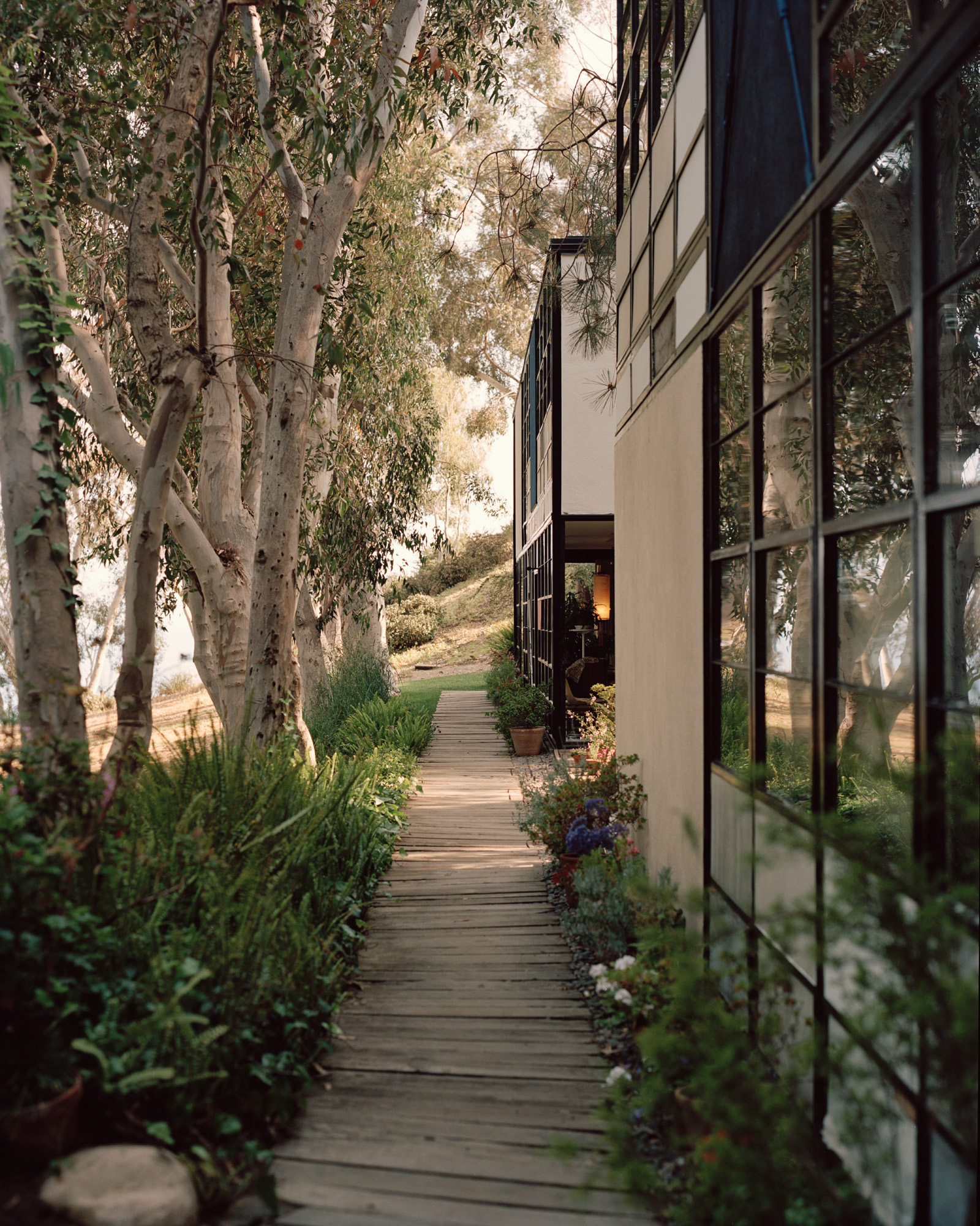 Eames House, Pacific Palisades