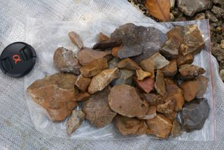 Stone artifacts were found scattered at the hominin site near Talepu on Sulawesi, Indonesia.