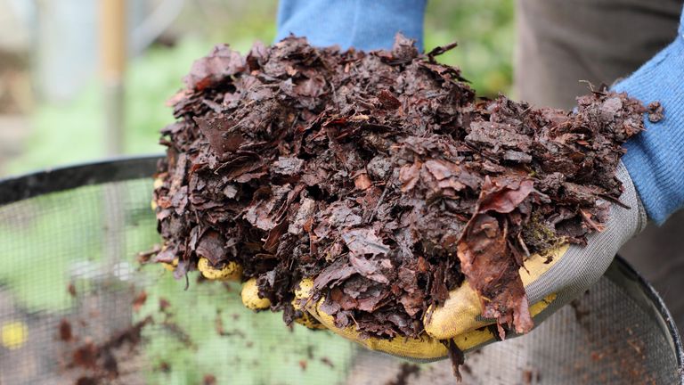 how to make leaf mould