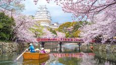Himeji Castle and cherry blossom