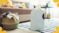 picture of dehumidifier in living room