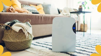 picture of dehumidifier in living room