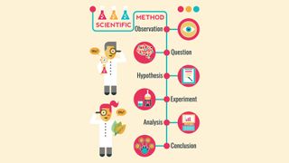 Here's an illustration showing the steps in the scientific method.