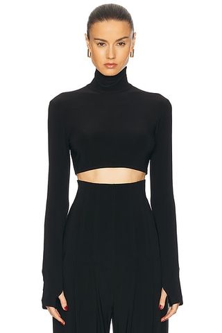 Cropped Slim Fit Long Sleeve Turtleneck Top