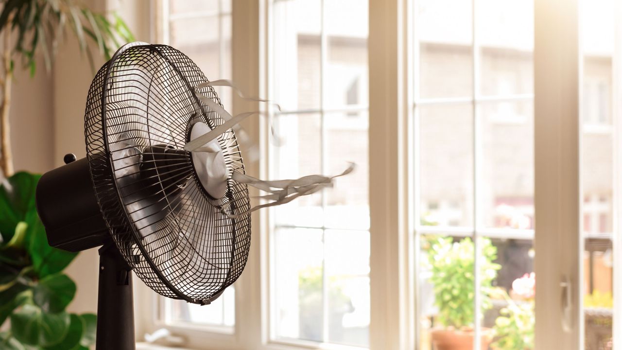 Learning tips for making the most out of your fan is useful. Here is a black standing fan with ribbons blowing out of it, with a green plant to the left and windows to the right of it