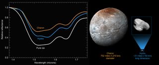 Measurements from NASA's New Horizons probe suggest that Pluto's farthest moon, Hydra, is covered in highly pure water ice.