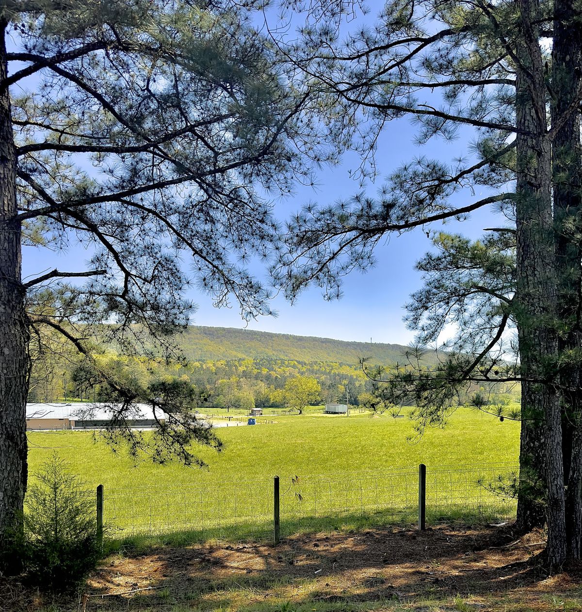GuruShots - Vivid Landscapes March 2026