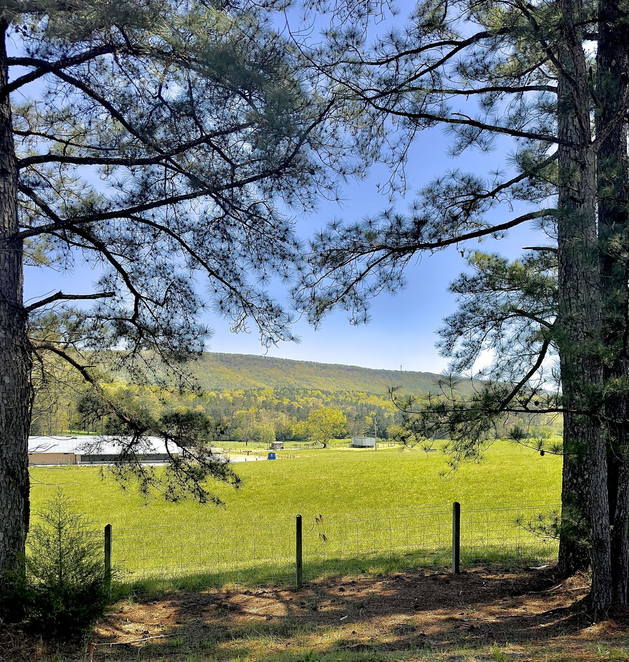 GuruShots - Vivid Landscapes March 2026