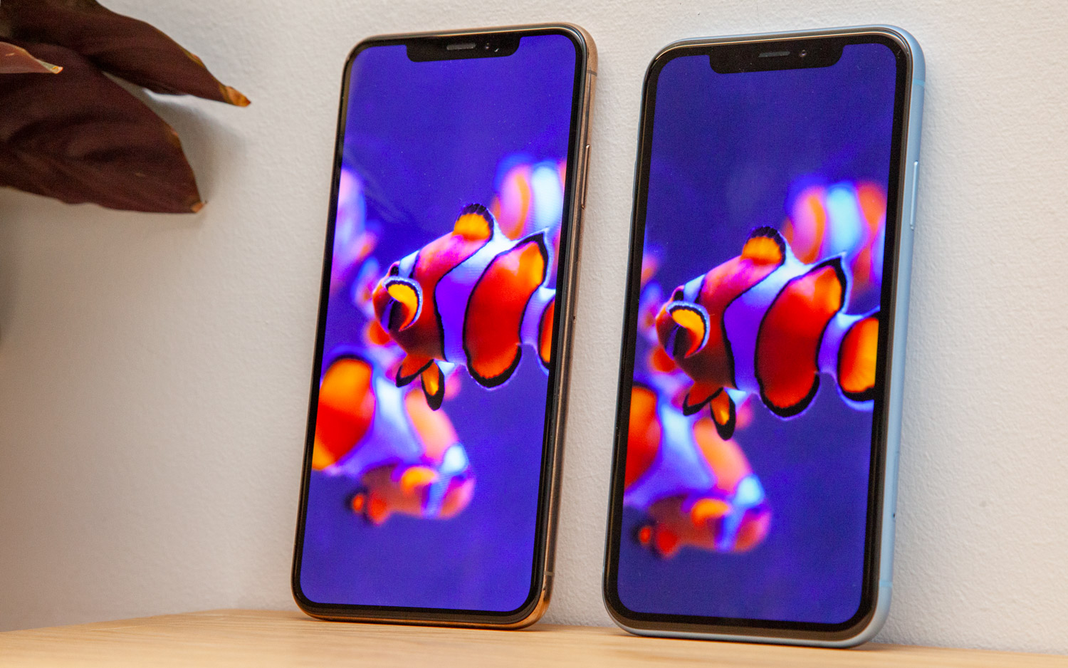 iPhone XR vs iPhone XS vs iPhone XS Max: What Should You Buy? | Tom's Guide