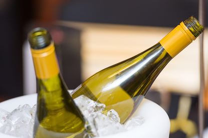 chill wine