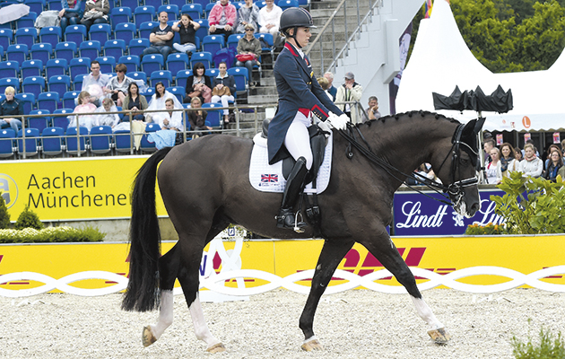 How to improve your horse&amp;rsquo;s walk