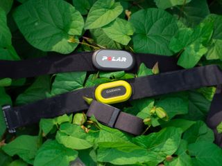 The Polar H9, Garmin HRM Pro and Whoop 4 heart rate monitors sit on a bed of leaves