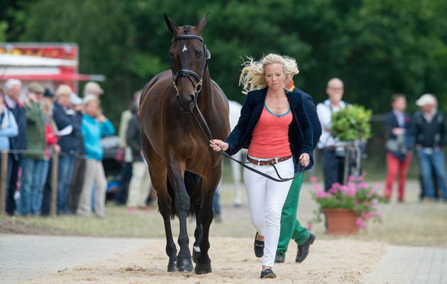 Luhm&amp;uuml;hlen CCI4* Eventing, Salzhausen, Germany - 17 June 2015