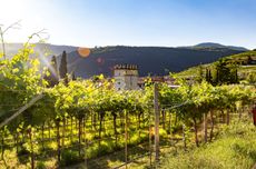 Montefioralle, Greve in Chianti, Italy