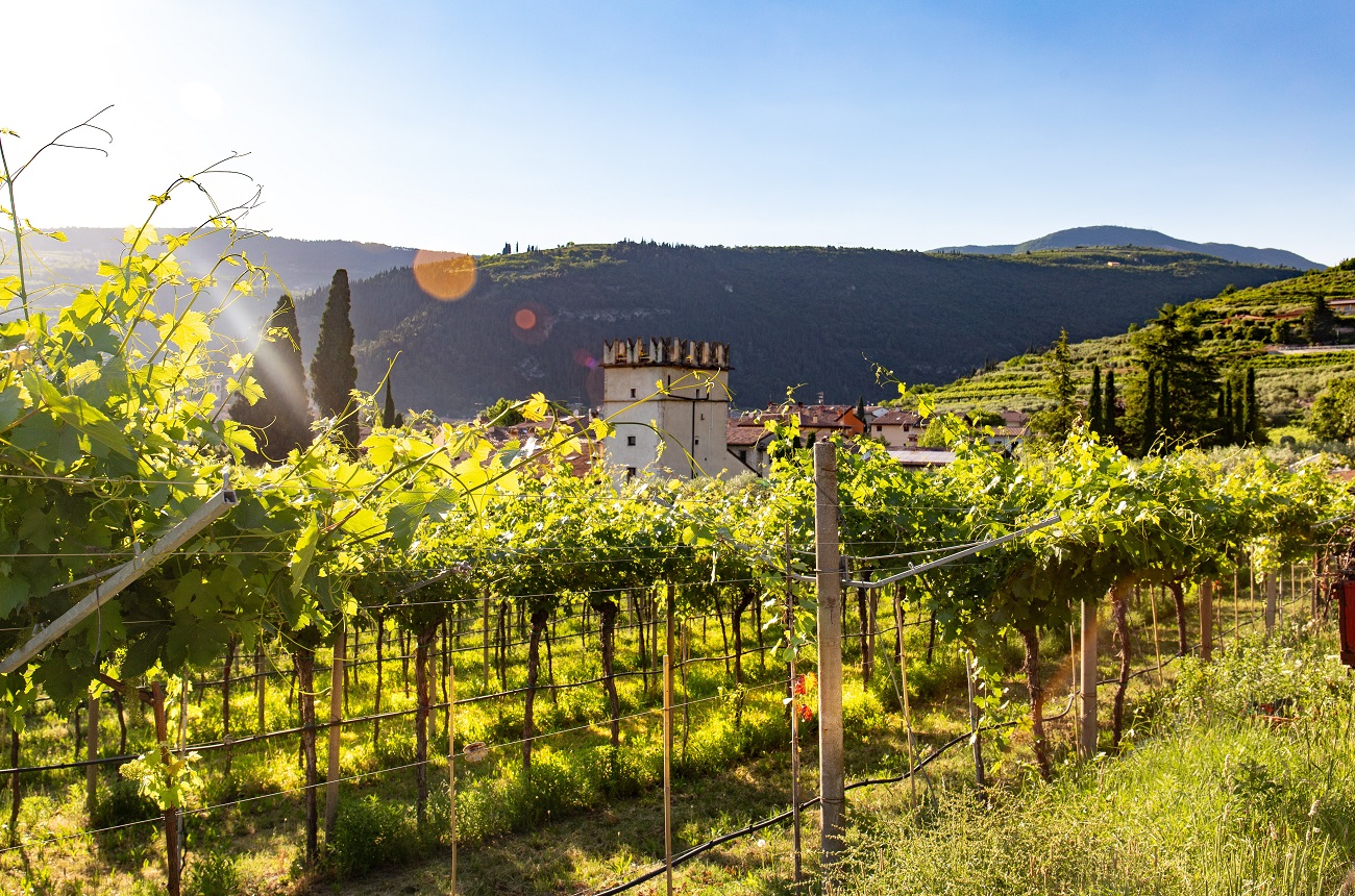 Montefioralle, Greve in Chianti, Italy