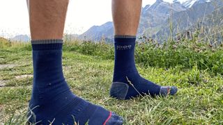 bets hiking socks: 1000 Mile Repreve single-layer three-season hiking socks