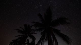 a bright star above palm trees.