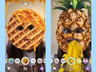 Any Food Filter