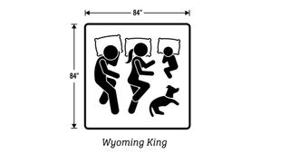 A chart looking at the dimensions of a Wyoming king bed