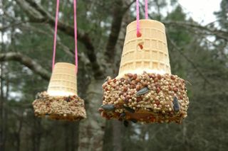 Ice cream cone bird feeders