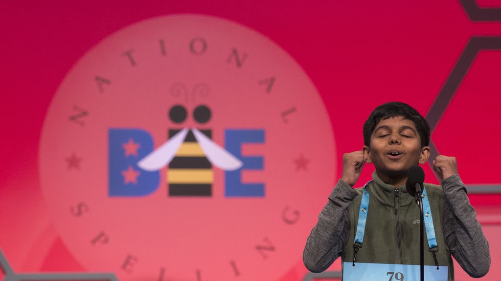 How to watch The Scripps National Spelling Bee Finals online — time and
