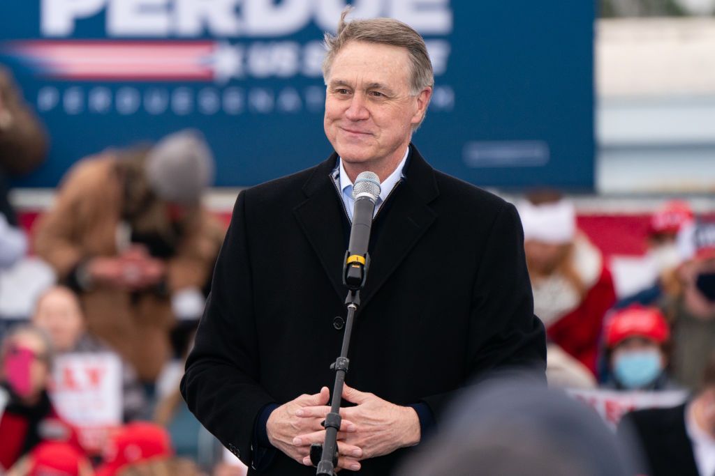 David Perdue.