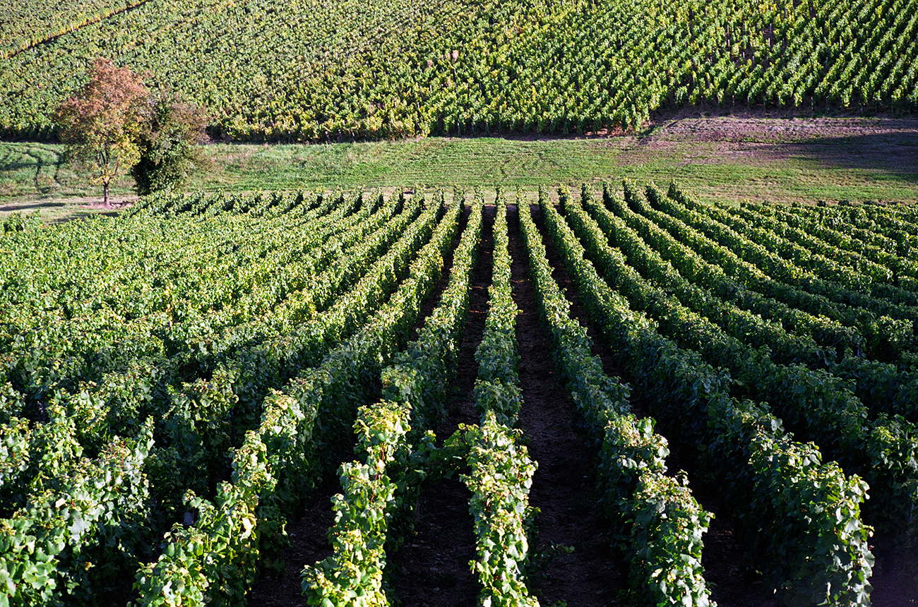 M&amp;acirc;connais 2020