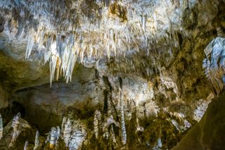 Stalagmites inside the Carlsbad Cavern at the Carlsbad Caverns National Park in New Mexico
